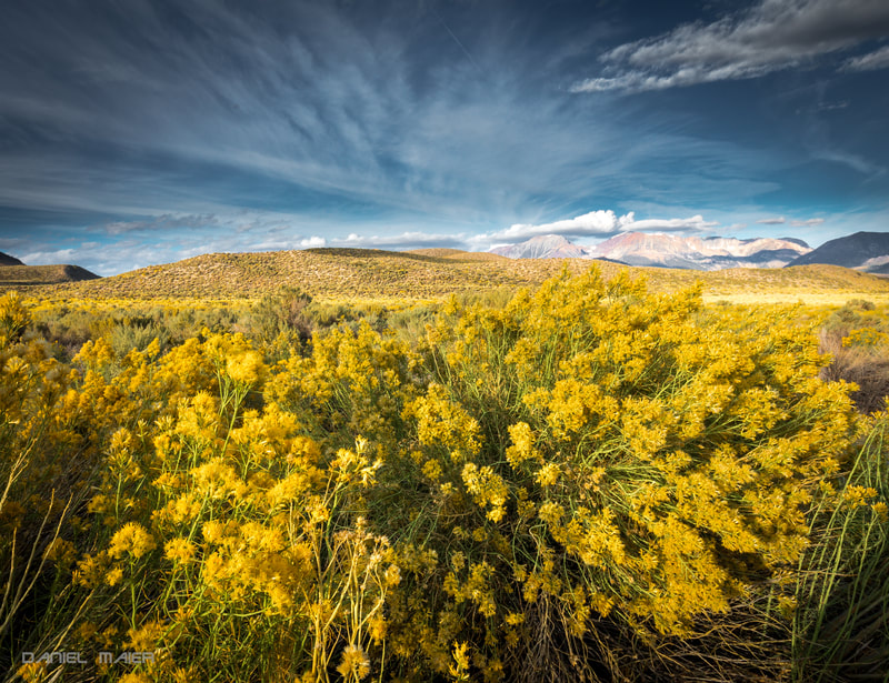Mono Lake