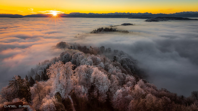 Winter Sonnenaufgang Uetliberg